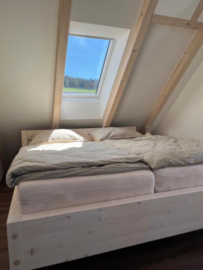 U Kralika, Apartman H, 3 Samostatne Loznice - Mezonet, Vlastni Parkovani, 50 Metru Od Vleku , Vysousece Bot V Lyzarne Dolní Morava Εξωτερικό φωτογραφία