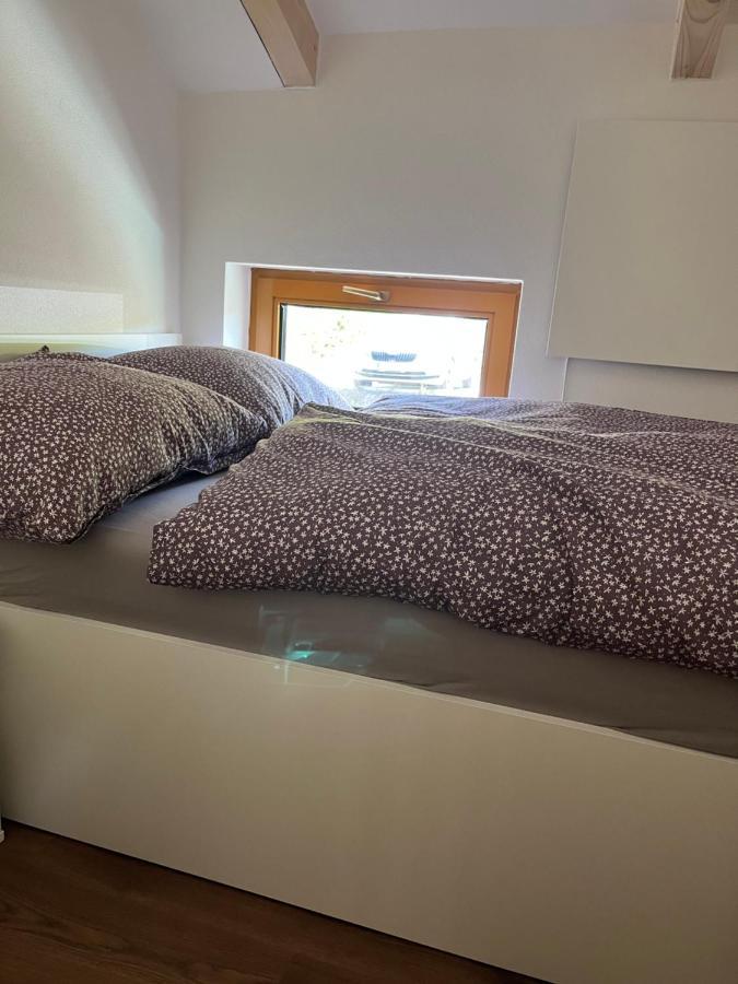 U Kralika, Apartman H, 3 Samostatne Loznice - Mezonet, Vlastni Parkovani, 50 Metru Od Vleku , Vysousece Bot V Lyzarne Dolní Morava Εξωτερικό φωτογραφία