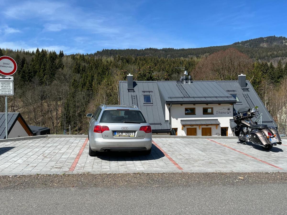 U Kralika, Apartman H, 3 Samostatne Loznice - Mezonet, Vlastni Parkovani, 50 Metru Od Vleku , Vysousece Bot V Lyzarne Dolní Morava Εξωτερικό φωτογραφία